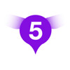%C4%8D%C3%ADsla/purple-05.jpg