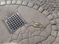 11892141_978593175517199_1172198876524533350_n.jpg - 