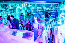 dsc_4386_1737383332.jpg - 