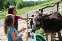 FarmaparkSobehrdy27-1646841980.jpg - 
