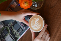 dsc_1771_1765318423.jpg - 