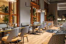 nh_collection_p_1738164060.jpg - 