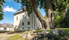 Neustupov-1744712876.jpg - 