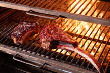 GreenhouseGrill.jpg - Josper grill
