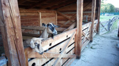 471698527_12930_1747719365.jpg - 