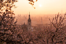 prague-in-sprin_1748250660.jpg - 