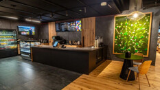 brain_1748603424.jpg - 