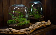 572911402_13484_1763125940.jpg - 