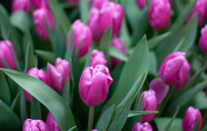 492810147_10915_1771505157.jpg - 