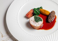 RabbitBallotineandBaconCarrotMorels.jpg - Hlavní chod