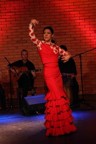 rosa-olympia-es_1352474499.jpg - Flamenco s Rosou Olympií Estrella