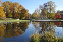 Stromovka-1788871849.jpg - 