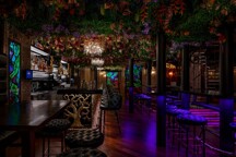 zlaty-strom-bar-prague-018.jpg - 