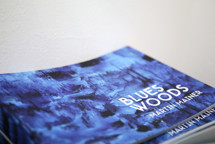 Novagalerie(3).jpg - Katalog k výstavě Blues Woods