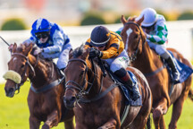 9.11.2024Prazskyzimnifavorit.jpg - 