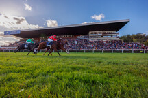 Holcbecher_2023Oct22_002246.jpg - 