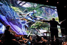 (C)FlavioIanniello_AVATAR_0251.jpg - Avatar
