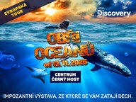 1024x768(kopie).jpg - 