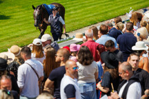 Holcbecher_2024Jun23_01194.jpg - Paddock