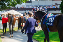 Holcbecher_2024Jun23_01814.jpg - Paddock