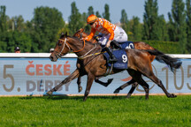 _51A1399.jpg - Miss of Change, ž. Callum Shepherd - vitezové 105. Českého Derby