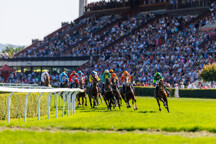 Zlatypohar_2025_nahled.jpg - 