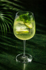hugospritz.jpg - 
