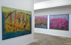 kacalak_web-38.jpg - 