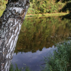 artcampdetskyletnitabor(23).jpg - 