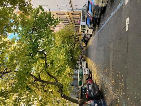 BrestovcovaalejvLuzickeulici_Praha_AR25_EvaMladkova_02.jpg