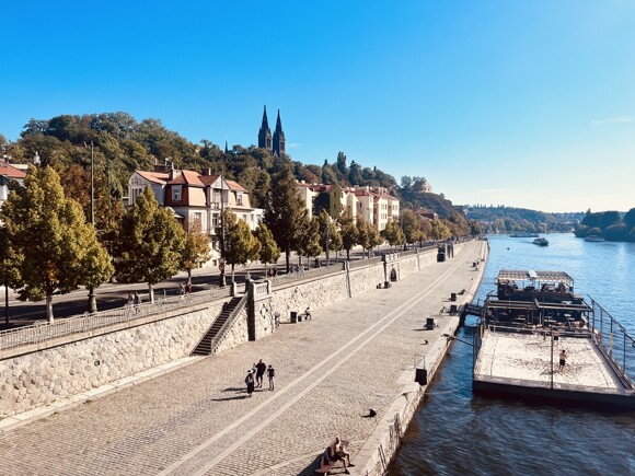 StromoradinaRasinovenabrezikVysehradskemutunelu_Praha_AR25_MichalPavlik%282%29.jpg