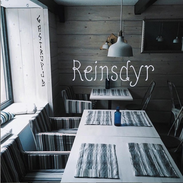 Reinsdyr.jpg - Skandinávská Reinsdyr