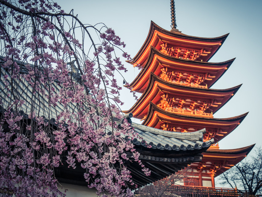 Dollarphotoclub_104465220.jpg - 