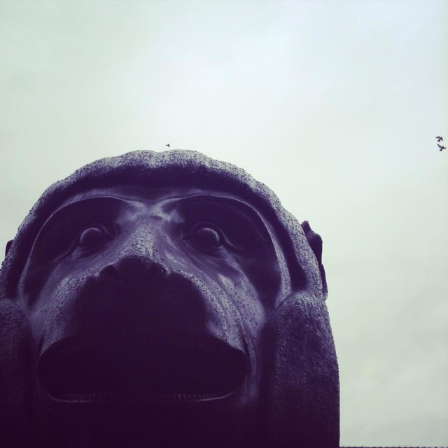 12654349_1199182213442672_6149168953731302393_n.jpg - 