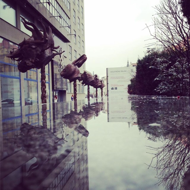 12669499_1199182220109338_2346101711314182527_n.jpg - 