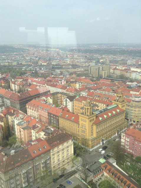 Photo23.04.13111512.jpg - 