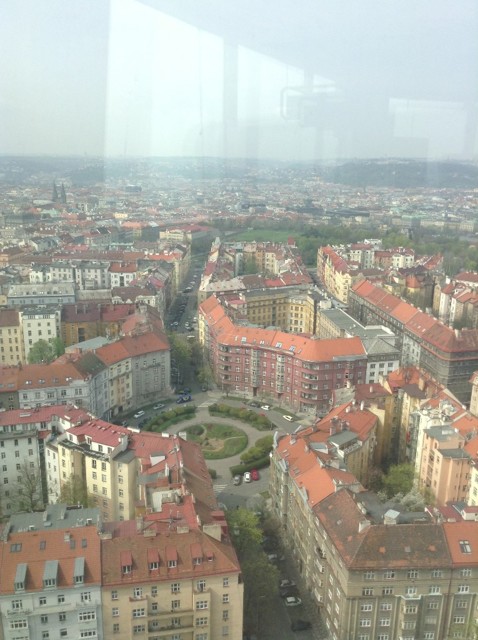 Photo23.04.13111530.jpg - 