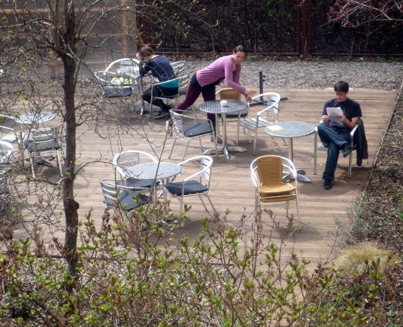 biozahrada.jpg - Ráno na Bio Zahradě