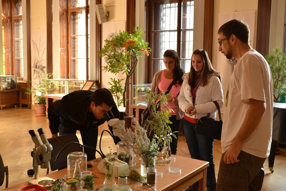 Botanikaznamaneznama.jpg - 