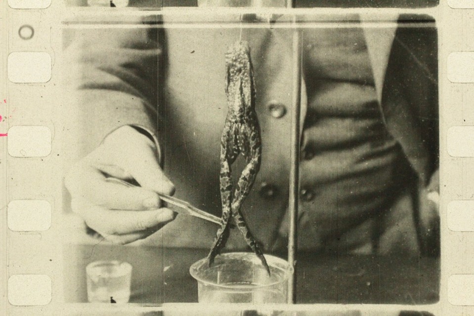 Zivotzabitezaby(1911)NFA.jpg - 