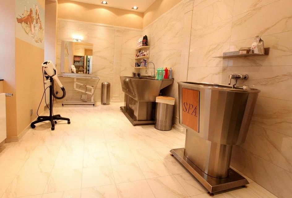 dog2.jpg - Psí salón (foto: Dogtown)