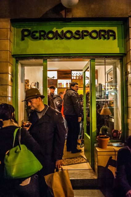 peronospora2.jpg - Obchod s produkty z Dalmacie Peronospora Blues