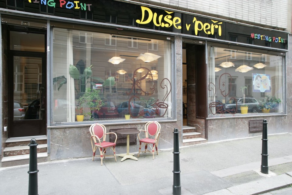 duseVperi1.jpg - Duše v peří