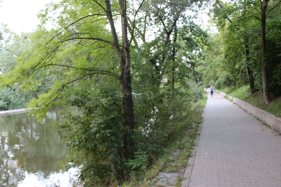 pesistezkaureky.jpg - Pěší stezka u řeky (foto: Petr Ryska)