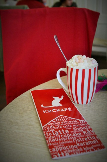 kockafe3.jpg - Kočkafé Frey