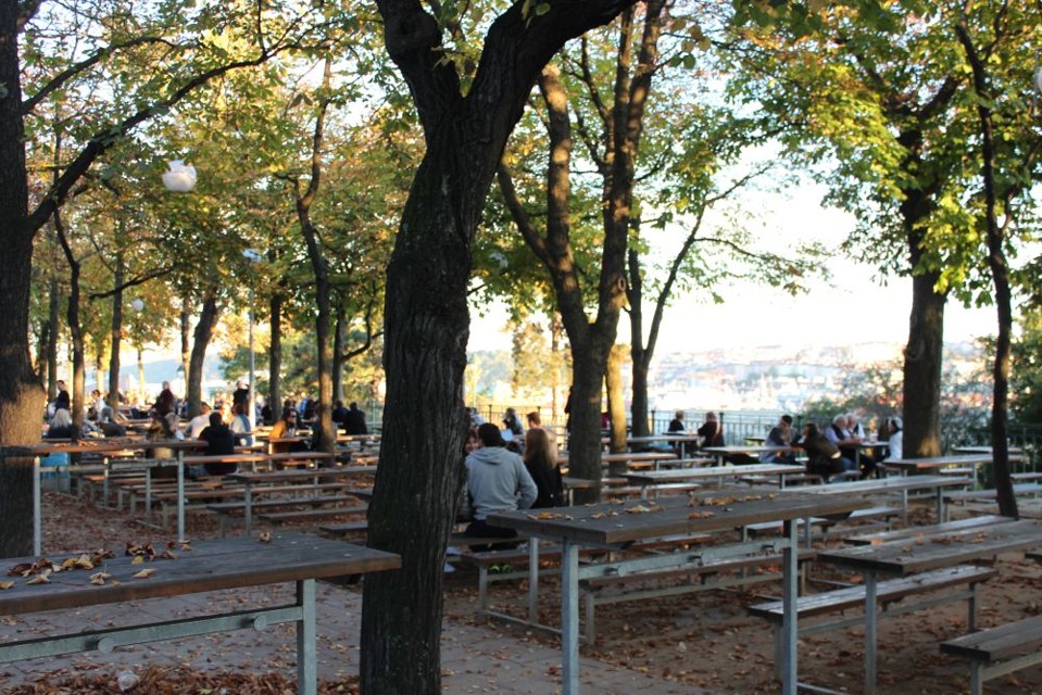 2014-10-1916.30.52.jpg - Zahrádky na Letné (foto: Petr Ryska)