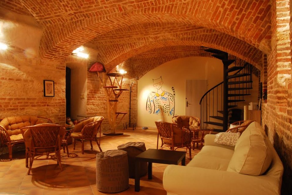 kocicikavarna1.jpg - Kavárna Kočičí