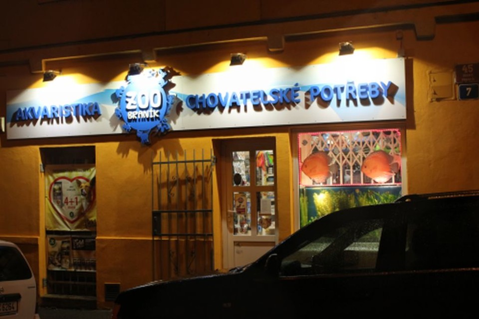 Akvaristika.jpg - Nej akvaristika v celé Praze - ZOO Braník (foto: Petr Ryska)