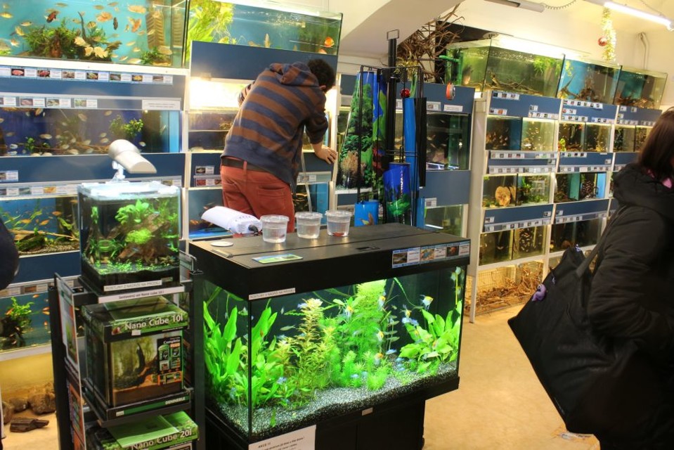 Akvaristika2.jpg - Nej akvaristika v celé Praze - ZOO Braník (foto: Petr Ryska)