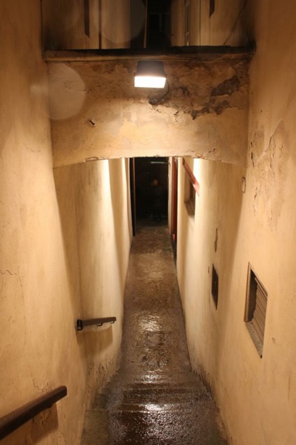 Branickeprampouchy2.jpg - Branické prampouchy (foto: Petr Ryska)